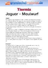 Jaguar - Maulwurf.pdf